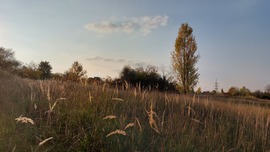 Látkép