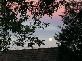 gabriell800709 fotója