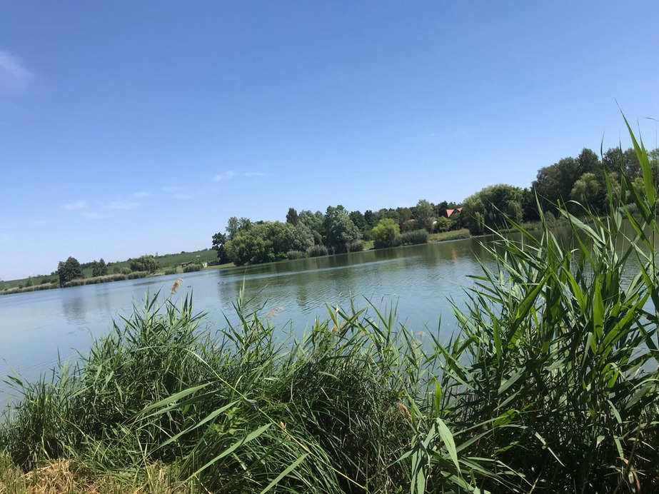 Zalaegerszeg