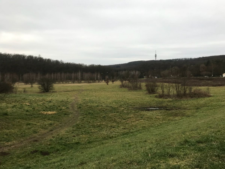 Zalaegerszeg
