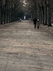 Zalaegerszeg