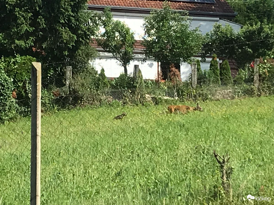 Zalaegerszeg