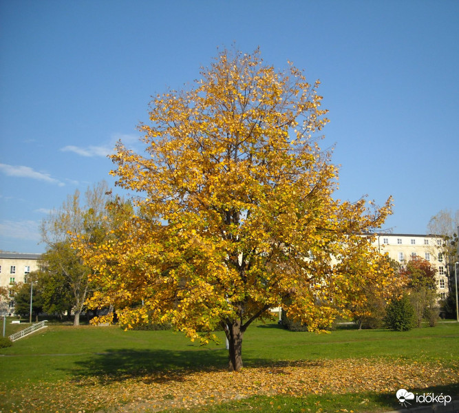 Miskolc-Egyetemváros