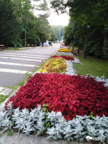 Miskolc-Tapolca 