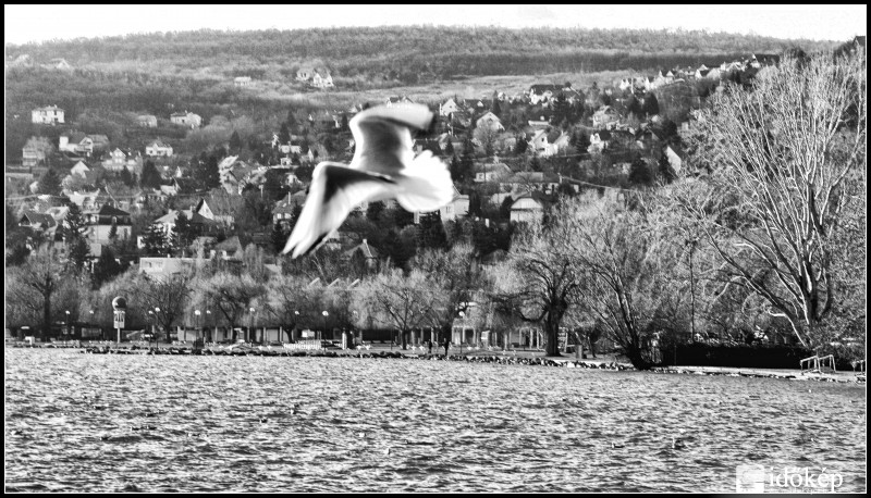 Almádi 