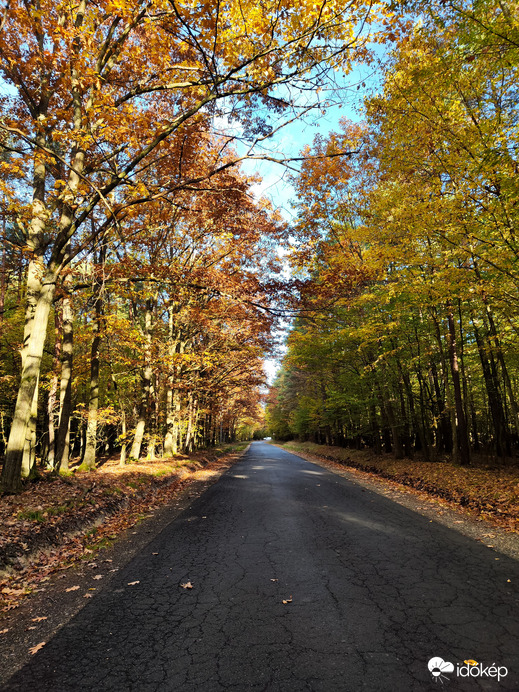 Vihar előtti csend az Őrségben 