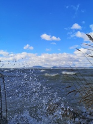 Háborgó Balaton