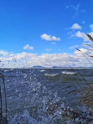 Háborgó Balaton