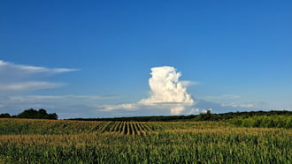 Mándok
