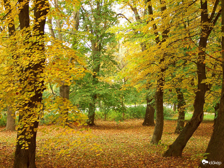 Képek a Remete-szurdokból 