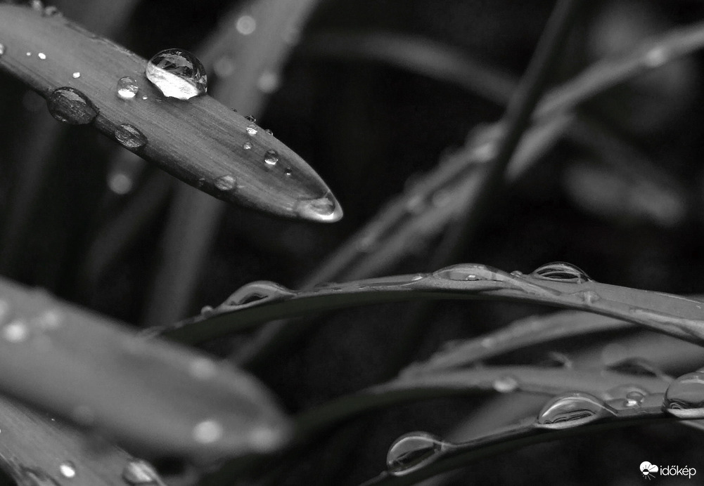 Rainy day 