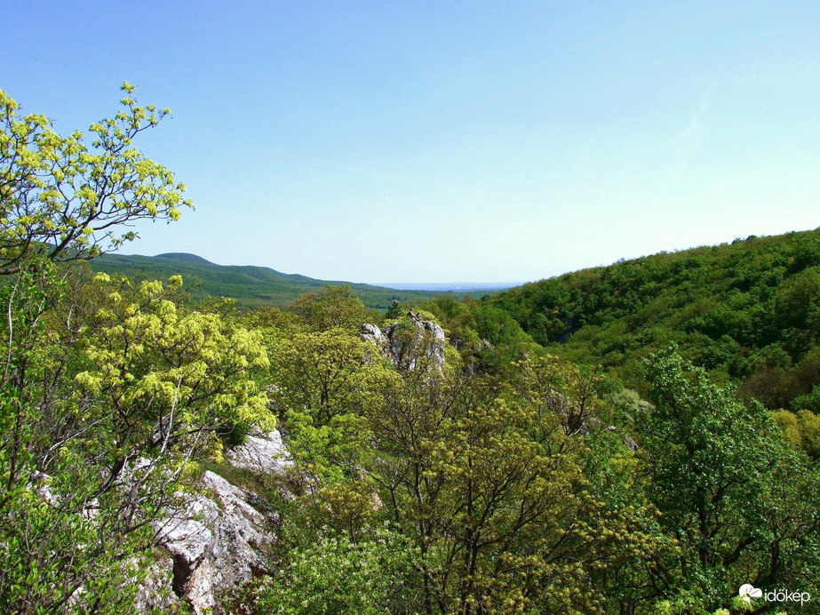 Vadregényes tájakon 