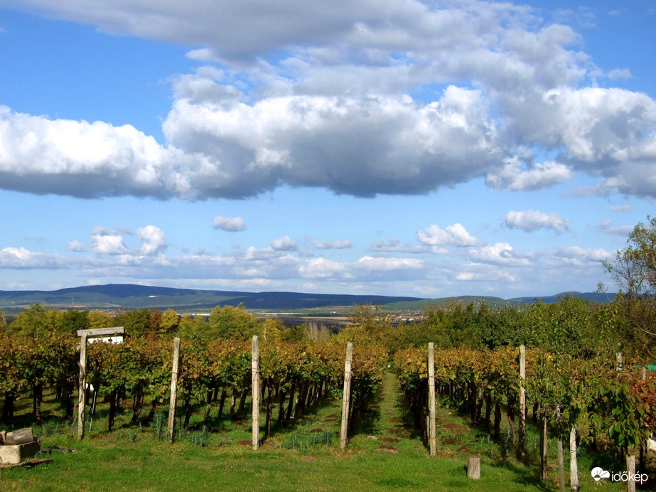 Kilátás a szőlőhegyről 