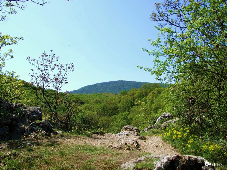 Vadregényes tájakon 