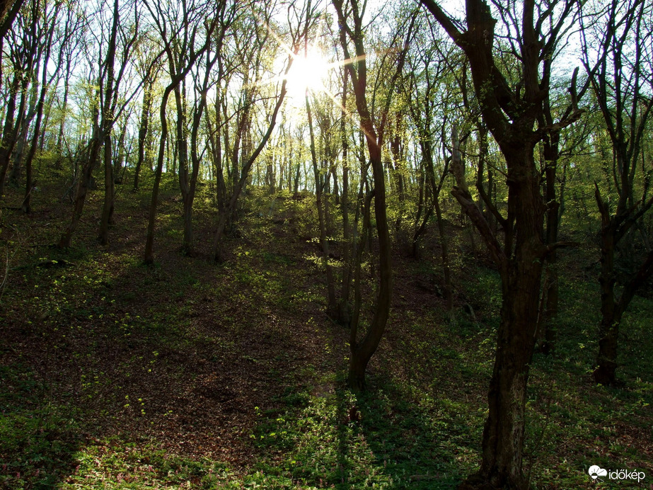 Besüt a tavaszi nap :)