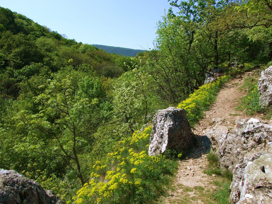 Vadregényes tájakon 