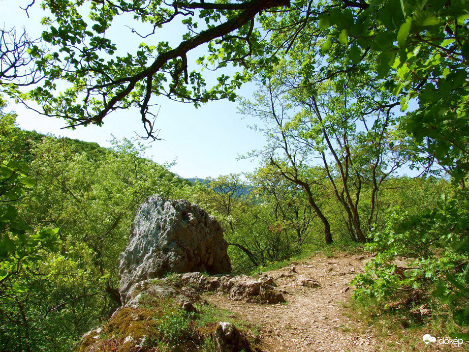 Vadregényes tájakon 