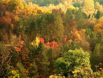 Képek a Remete-szurdokból 