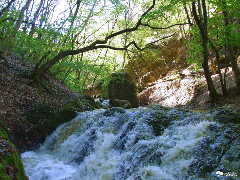 Vadregényes tájakon 