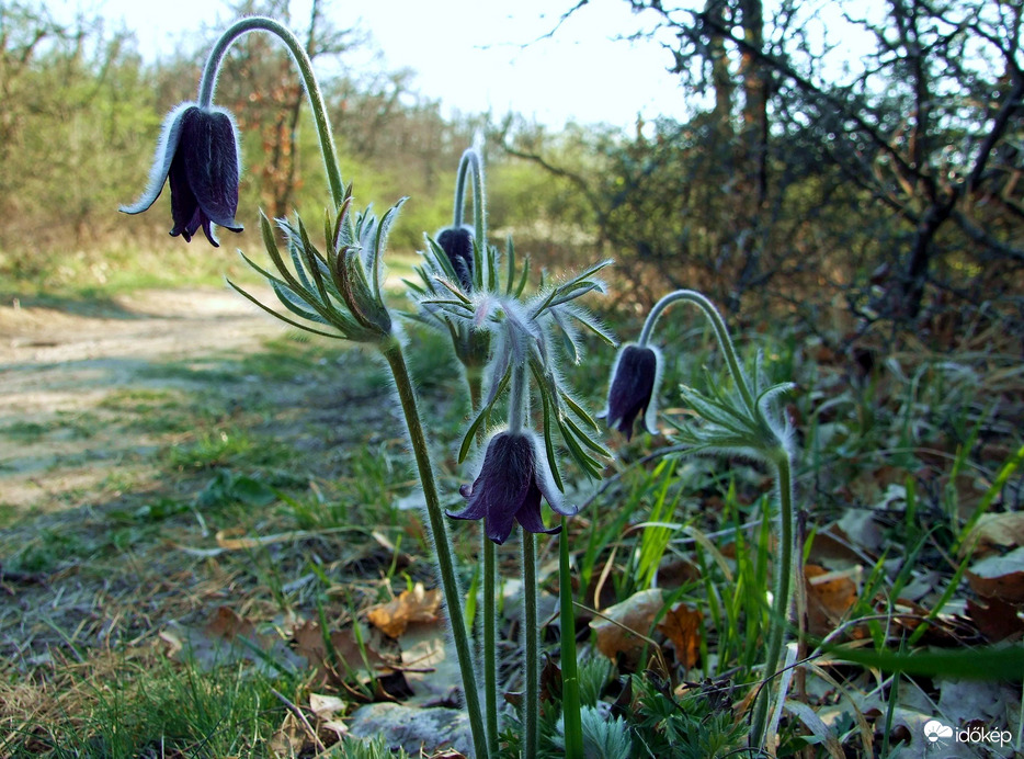 Az út második fele