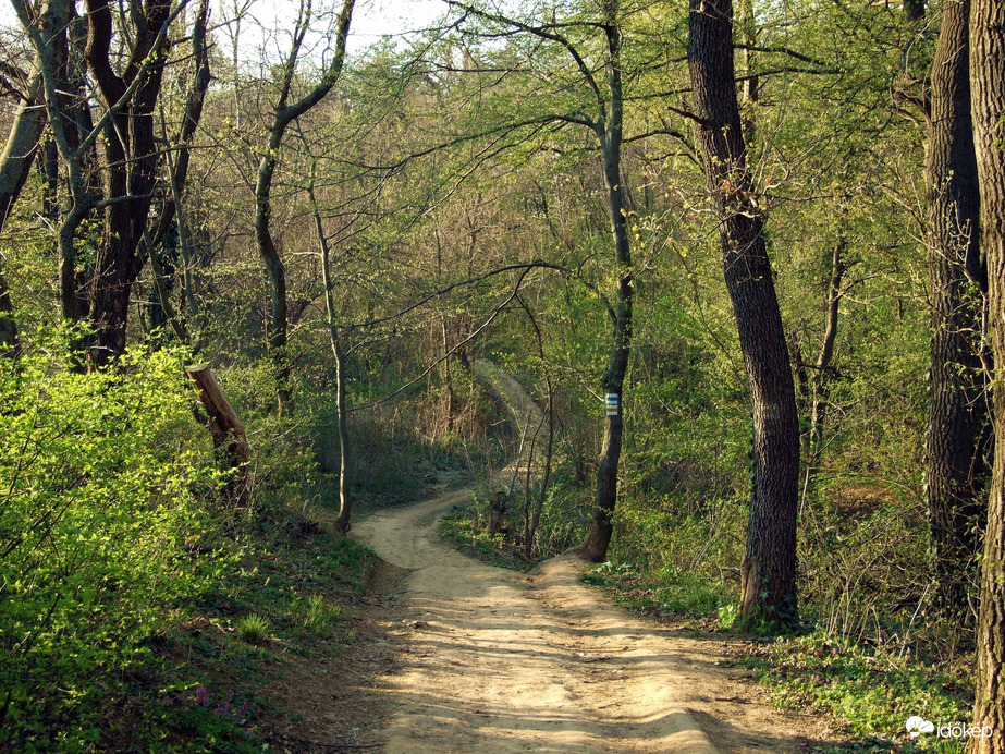 Az út második fele