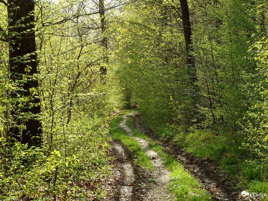 Tavaszi tájakon