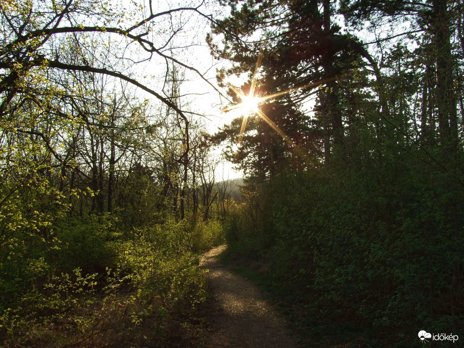 Az út második fele