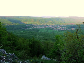 Madártávlatból 
