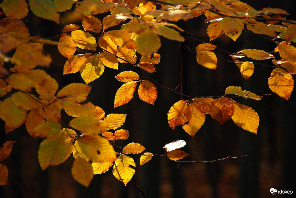 Közben néha kisüt a nap :)