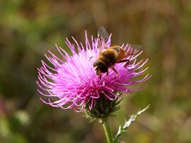 Folyik még a munka :)