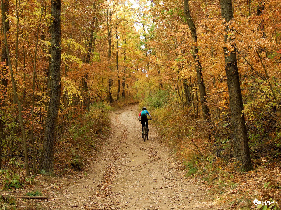 Nyomom, tekerem...:)