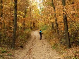 Nyomom, tekerem...:)