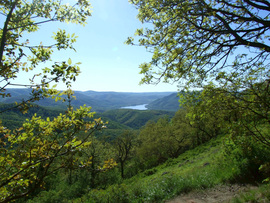 Tavasszal a hegyekben 