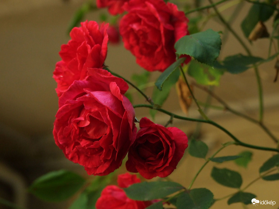 Ilyen volt a május...