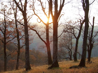 Változik az idő, változnak a fények 