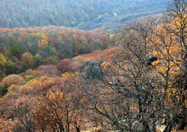 Színek ősz végén 