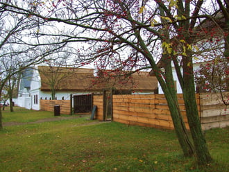 Színek a szürkeségben 