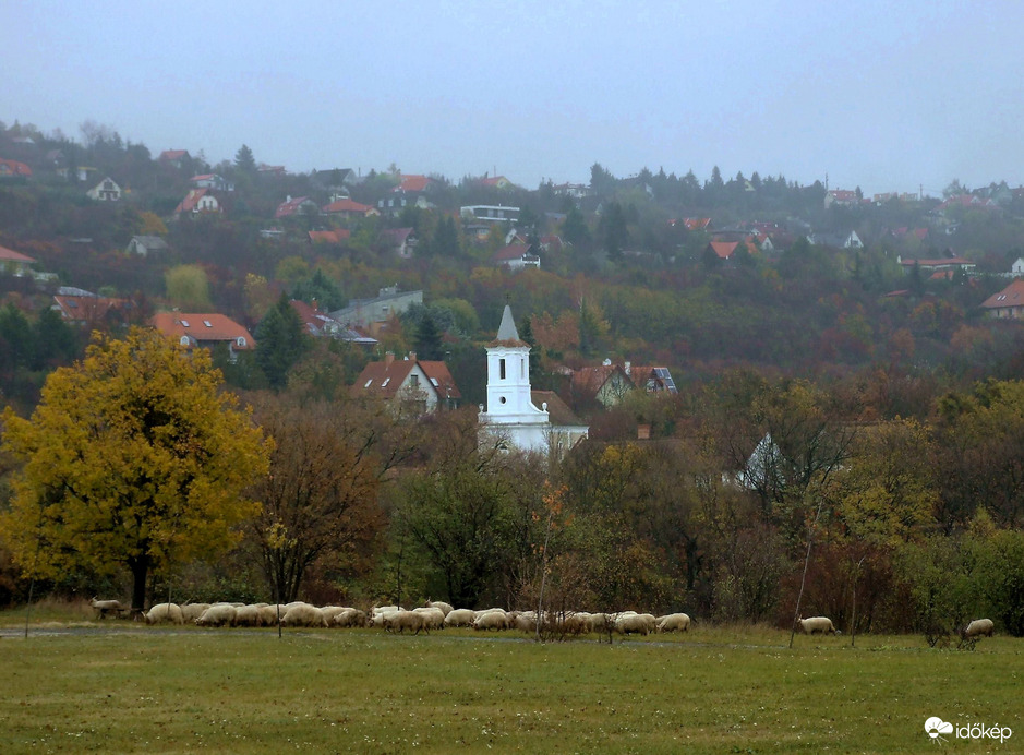 Tájkép birkákkal :)