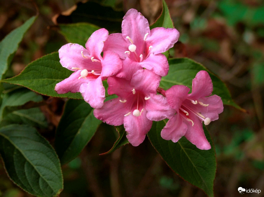 Jártamban-keltemben... :)