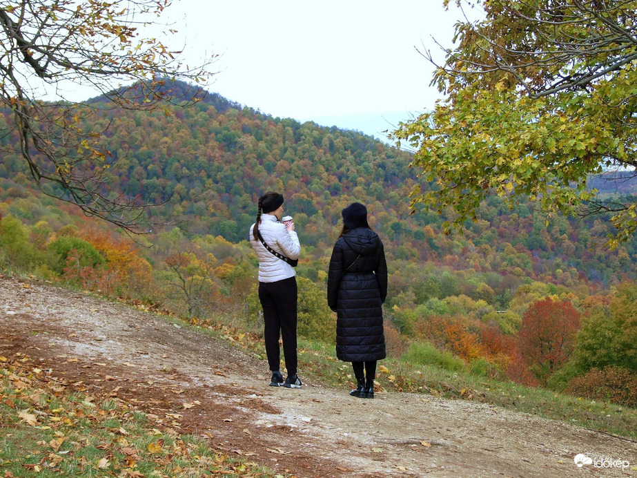 Őszi kirándulás - A Normafa és környéke ősszel 