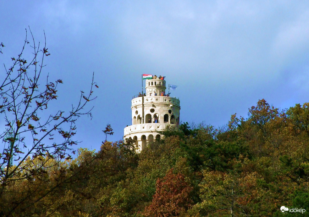 "Egész fedele verebekkel tele" :))