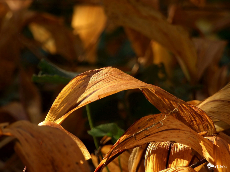 Jövőre újra találkozunk :)