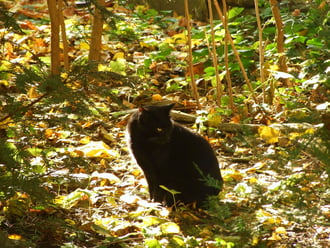Most te következel! :)