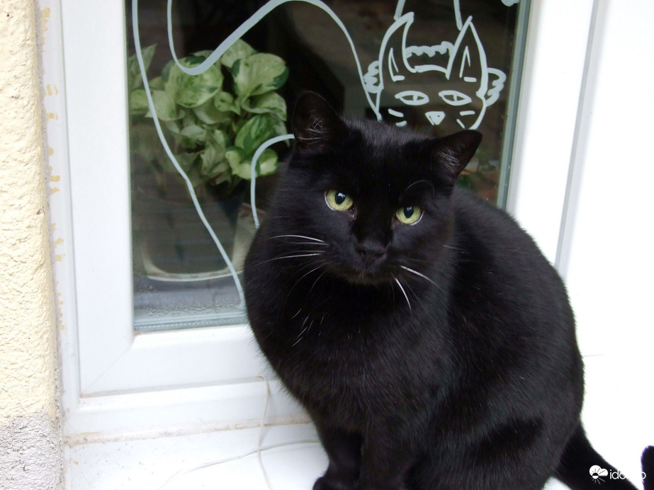 A hátam mögött lévő nem igazi! :)