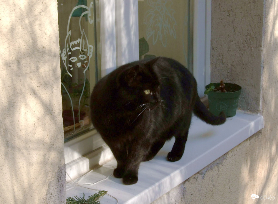 Reggeli, bágyadt fényben :)