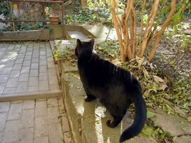 Felfedezésre vár a kert! :)