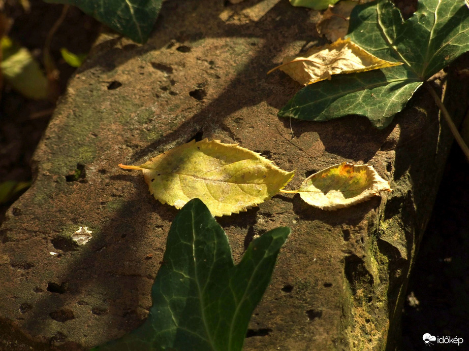 Délelőtti csendélet 