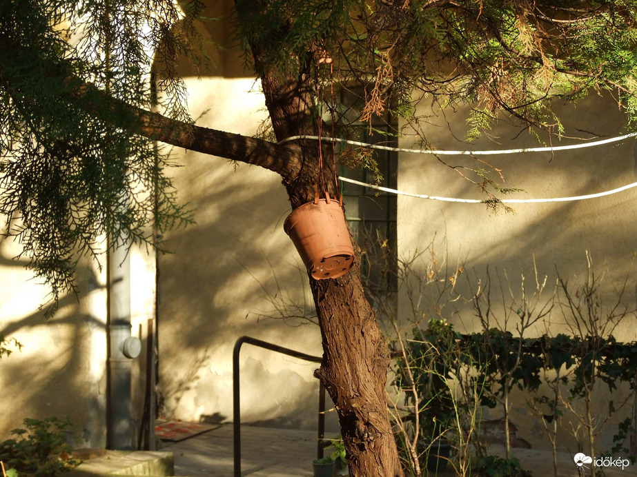 Decemberi csendélet 2.0 