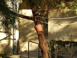 Decemberi csendélet 2.0 