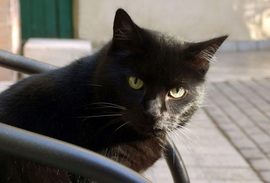 Akkor most végre békén hagynál már? :)